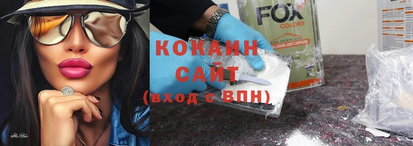 стафф Новодвинск