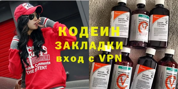 гашик Нея