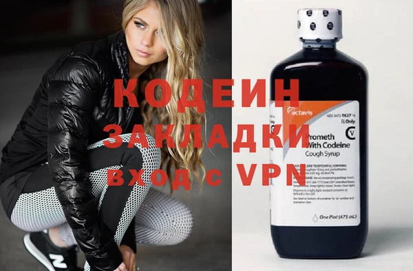 гашик Нея
