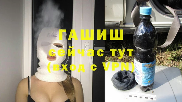 гашик Нея