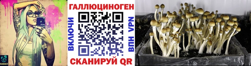 MEGA ССЫЛКА  Ишим  Галлюциногенные грибы GOLDEN TEACHER  продажа наркотиков 