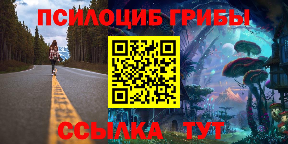 Ишим  Псилоцибиновые грибы Cubensis  что такое наркотик  Вход с VPN 